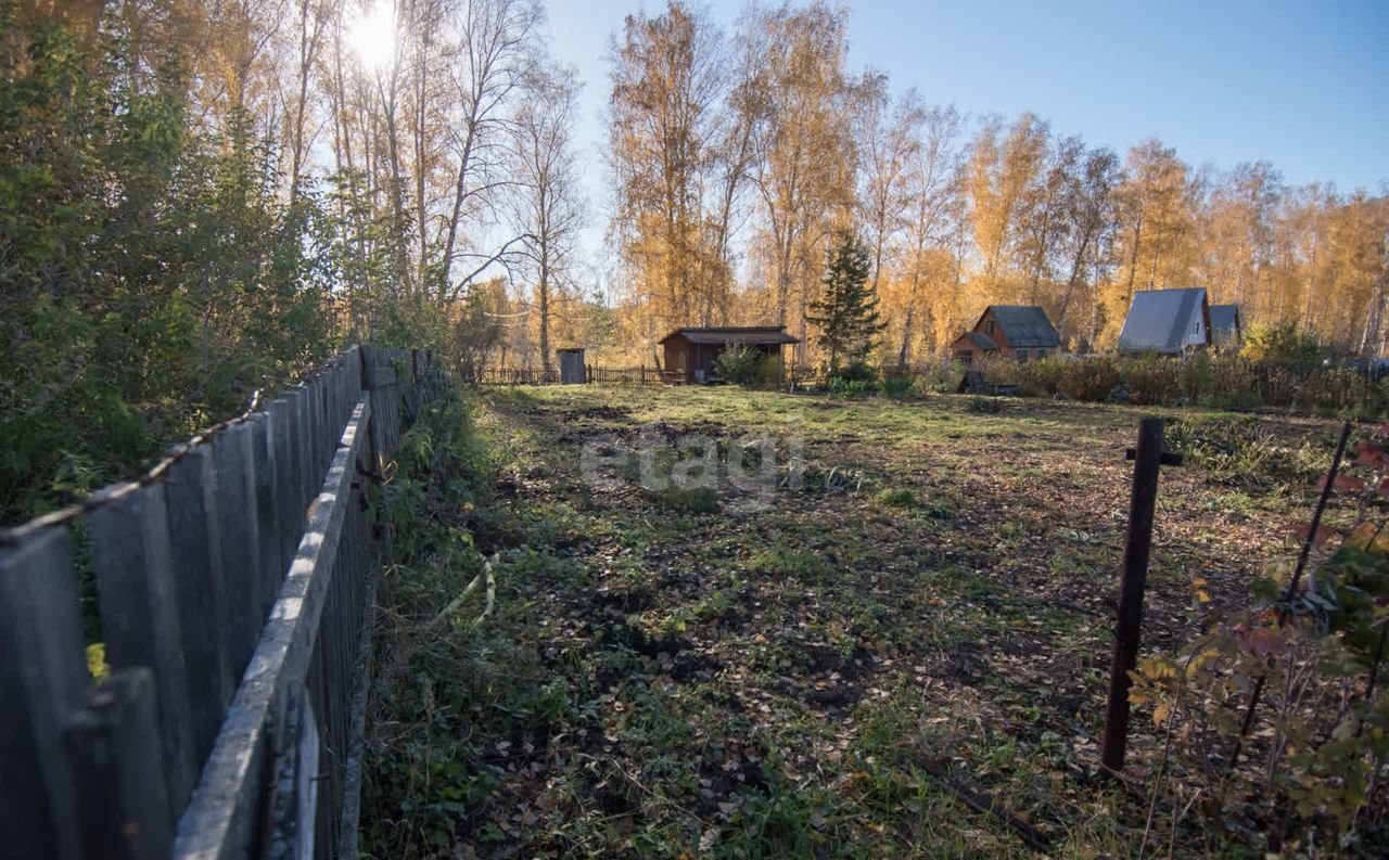 земля г Бердск Бердское шоссе, 5809 км, садовое товарищество Ветеран, 342 фото 1