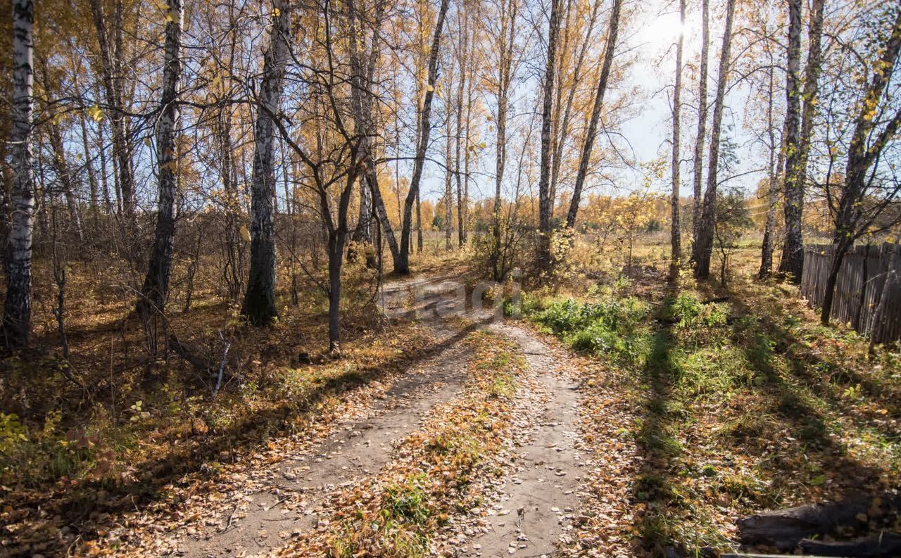 земля г Бердск Бердское шоссе, 5809 км, садовое товарищество Ветеран, 342 фото 12