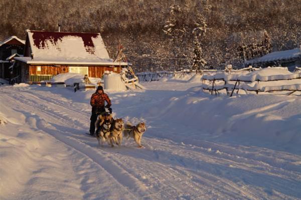 гостиницу г Мурманск р-н Октябрьский фото 12