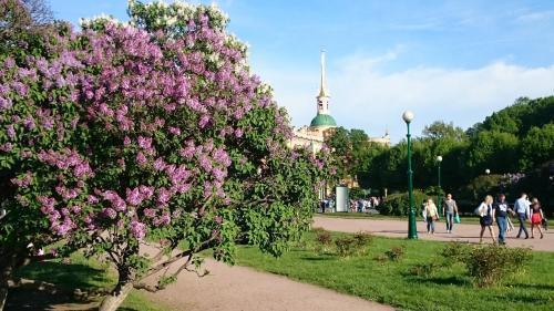 гостиницу г Санкт-Петербург ул Караванная 14б Дворцовый округ фото 29