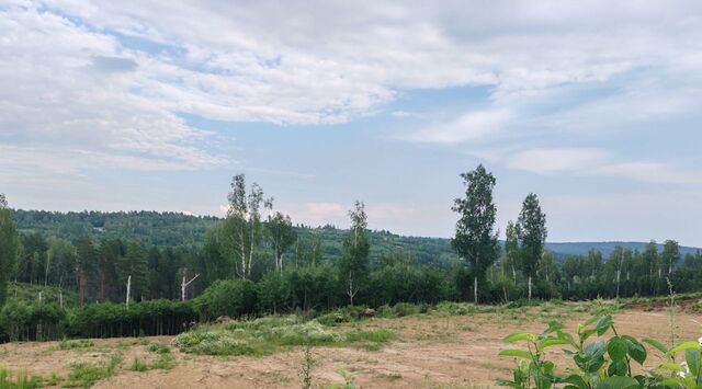 д Новолисиха п Еловый ул Братская фото