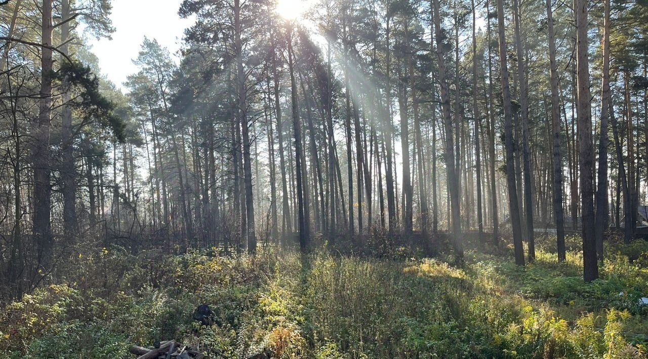 земля р-н Новокузнецкий п Кульчаны фото 3