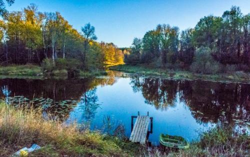 гостиницу г Владимир ул Лесная лит. А, д. 5 фото 19