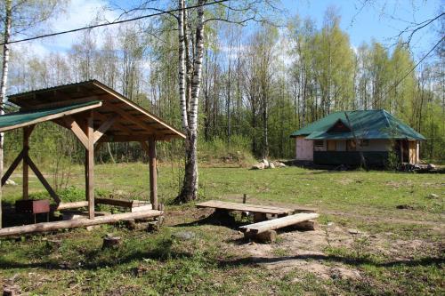 дом р-н Прионежский с Шелтозеро Шелтозерское вепсское сельское поселение фото 28