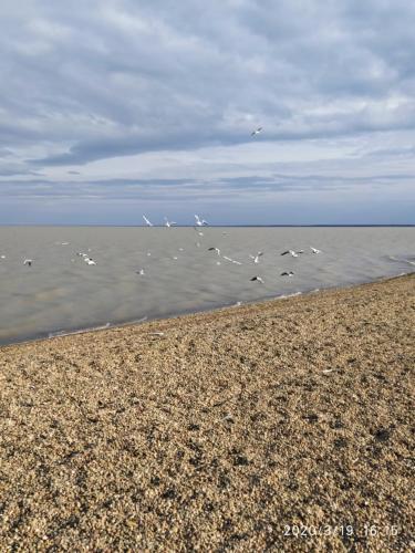 дом р-н Ейский г Ейск Ейское городское поселение фото 13