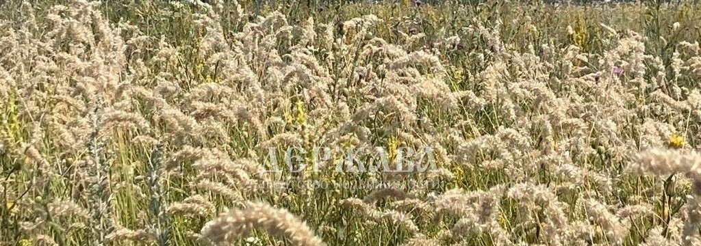 земля р-н Старооскольский с Каплино Старооскольский городской округ фото 1