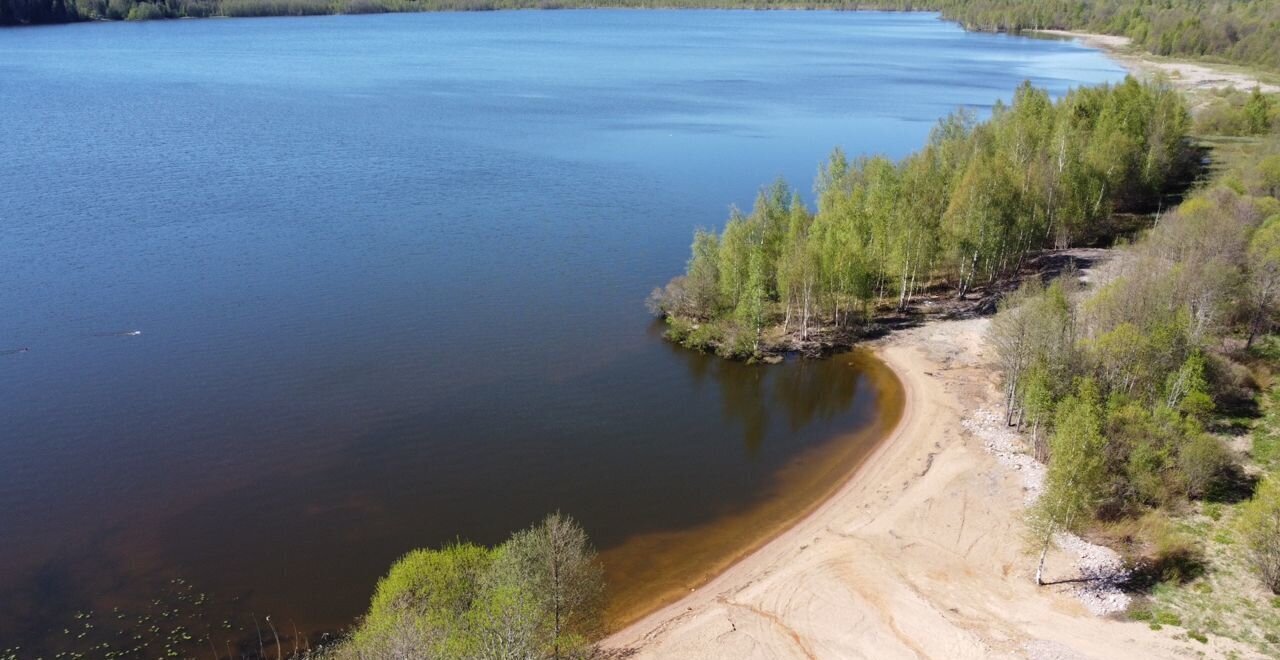 земля р-н Выборгский п Рощино Выборгское шоссе, 28 км, Рощинское городское поселение, городской пос. Рощино фото 4