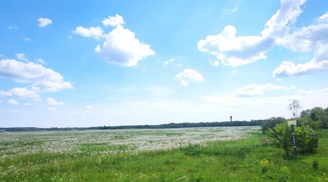 земля Дружногорское городское поселение фото