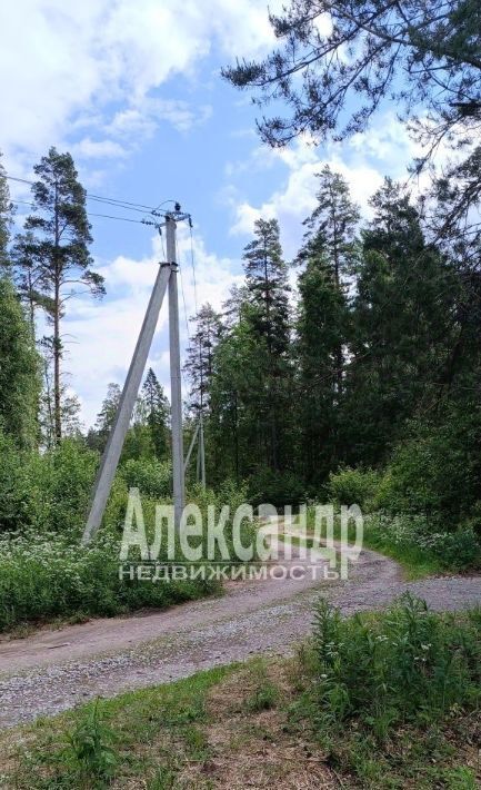 земля р-н Приозерский дп Массив Ремесленник снт терАлександринка Ларионовское с/пос фото 1