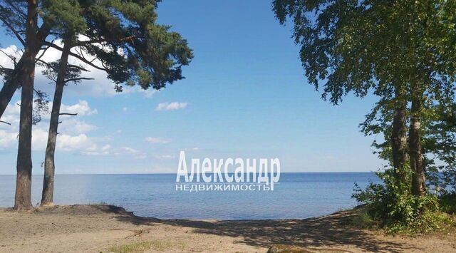 земля д Коккорево Рахьинское городское поселение фото