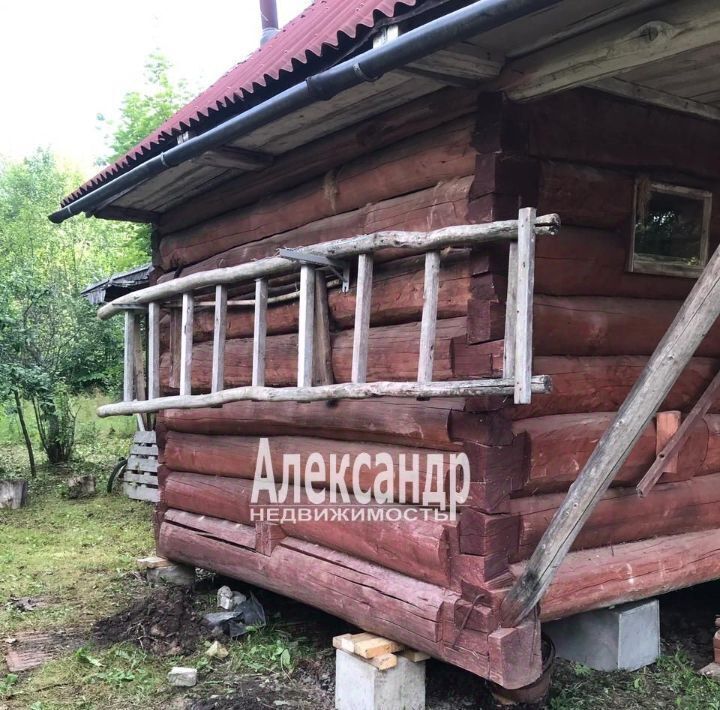 земля р-н Тосненский снт Здоровье Лисинское с/пос, Восточное Радофинниково садоводческий массив, 11-я линия, 10 фото 2