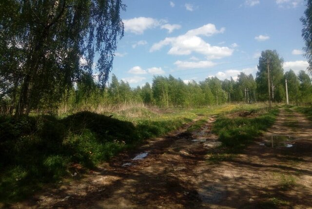 д Еремейцево ул Центральная сельское поселение Петровское фото