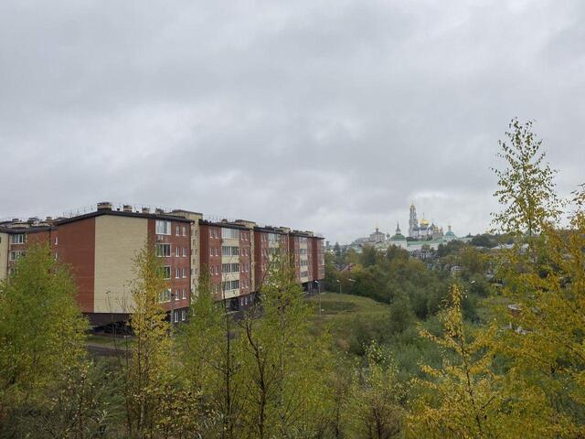 ул Сергиевская 13/5 ЖК Донской Сергиево-Посадский городской округ фото