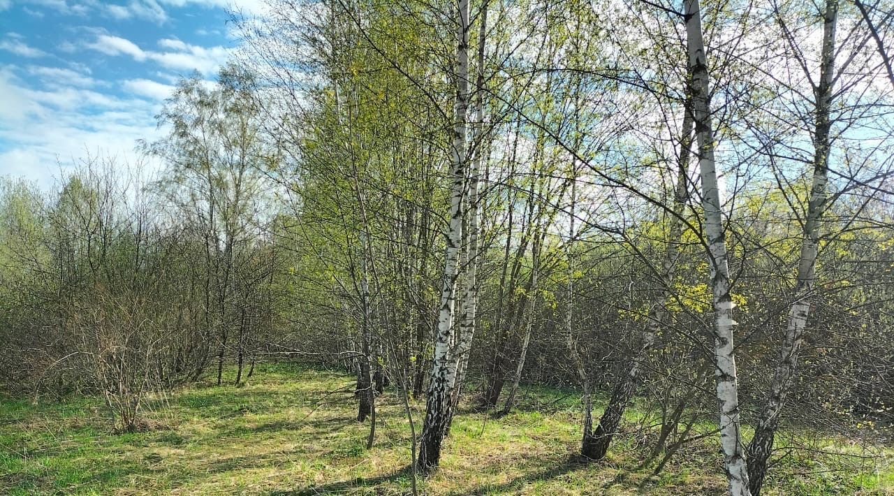 земля р-н Ленинский д Скобелево ул Железнодорожная Тула фото 5