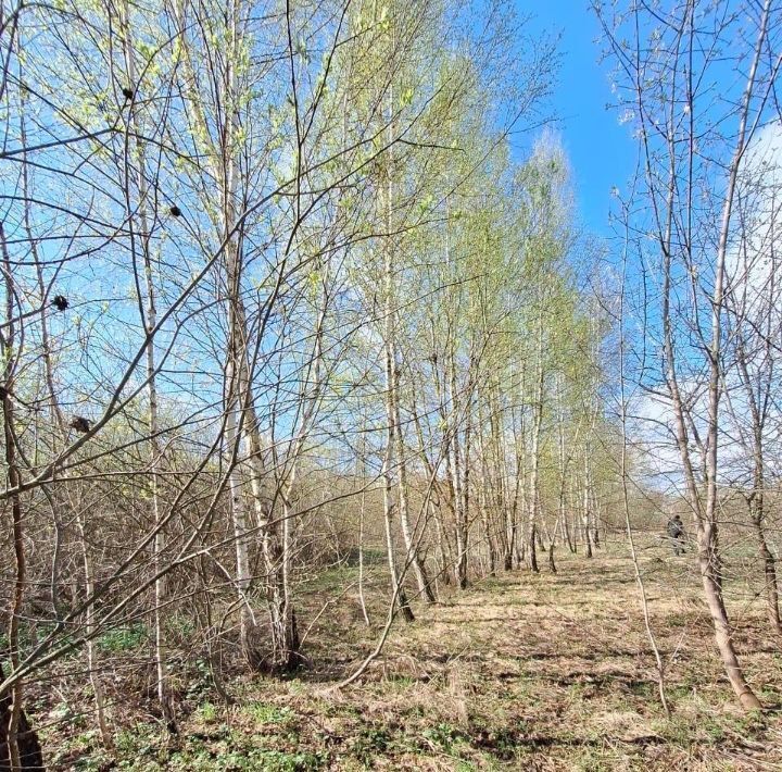 земля р-н Ленинский д Скобелево ул Железнодорожная Тула фото 10