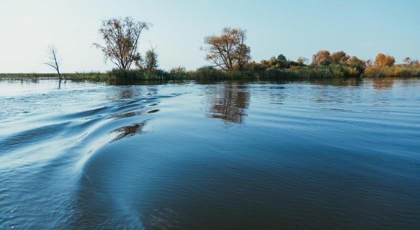 гостиницу р-н Каргапольский д Рыбная городское поселение Рыбная Слобода фото 27