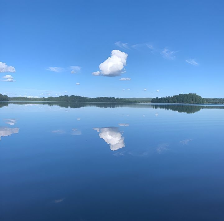 земля р-н Медвежьегорский д Салмагуба Пиндушское городское поселение фото 2