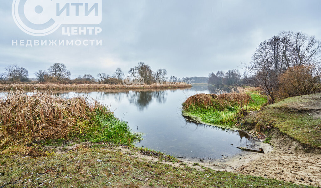 земля р-н Рамонский д Ивницы ул 25 Января фото 1