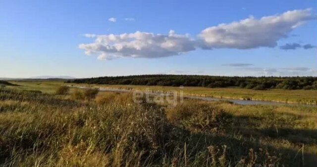 земля с Драгунское ул Гвардейская 82д/1 Томаровка фото