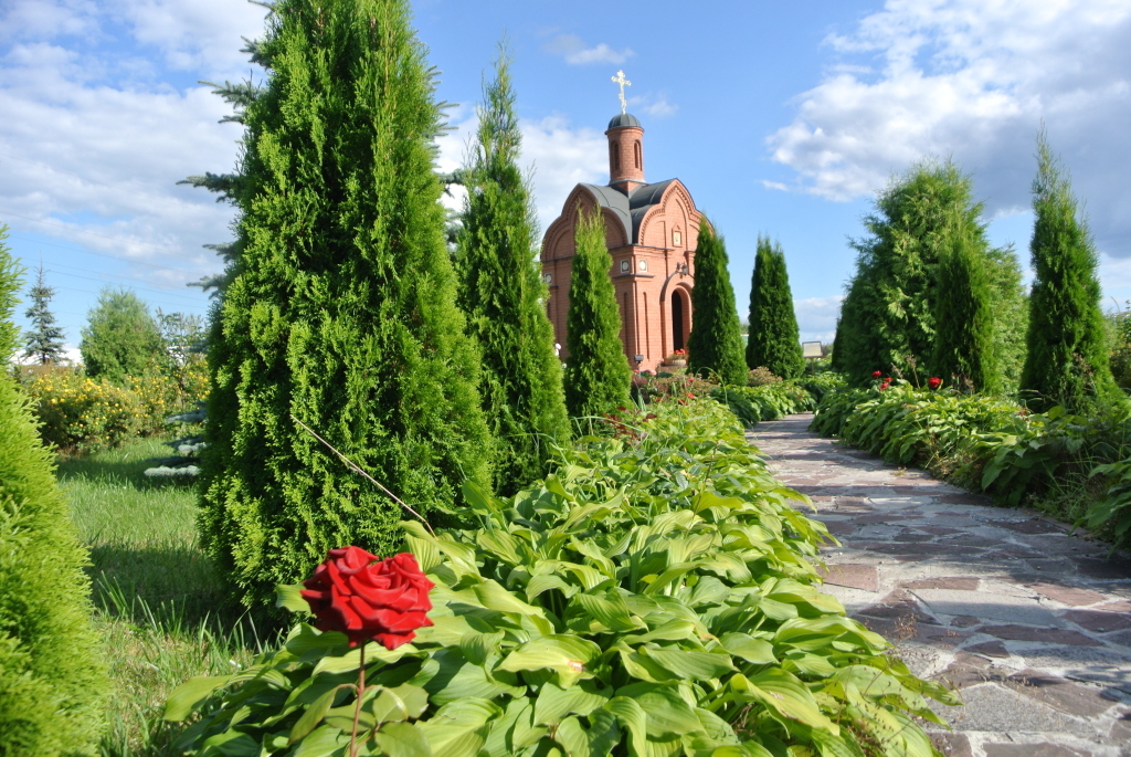 гостиницу г Ярославль р-н Фрунзенский фото 7