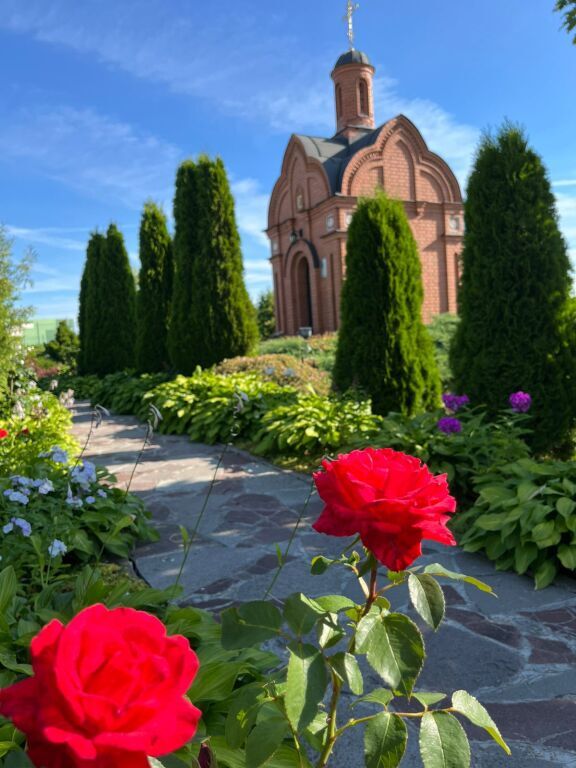 гостиницу г Ярославль р-н Фрунзенский фото 42