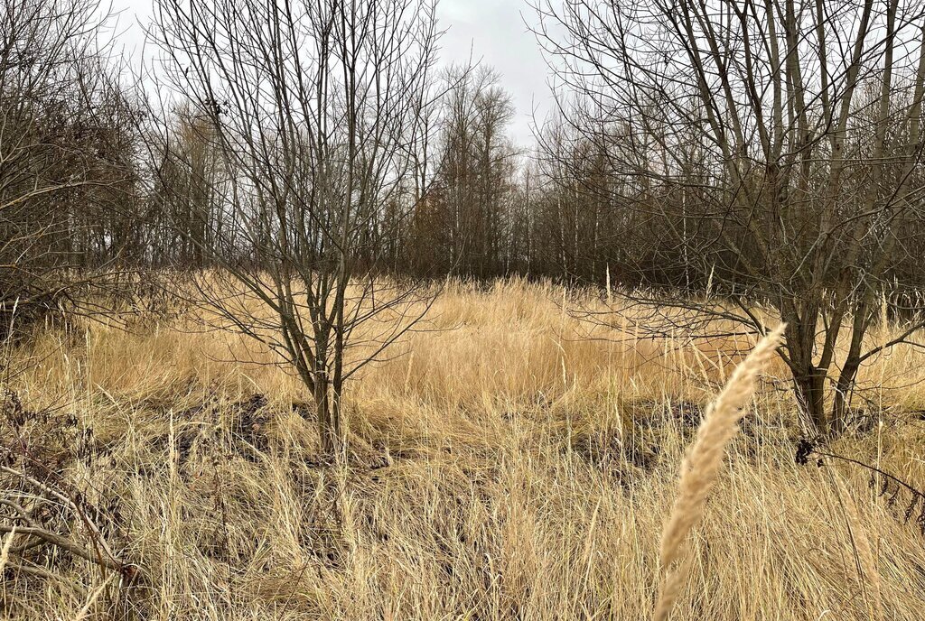 земля р-н Рязанский с Кораблино Вышгородское сельское поселение фото 4