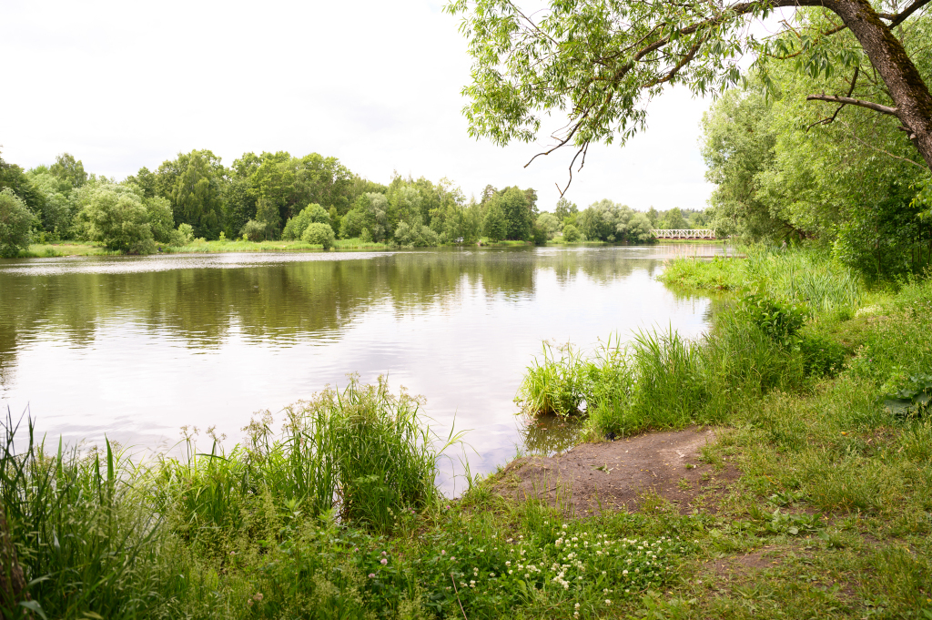 гостиницу городской округ Красногорск д. 23, ул. Гагарина, Москва фото 24