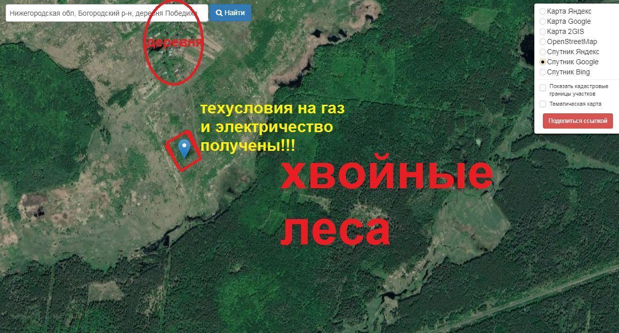 земля р-н Богородский д Победиха ул Лесная фото 2