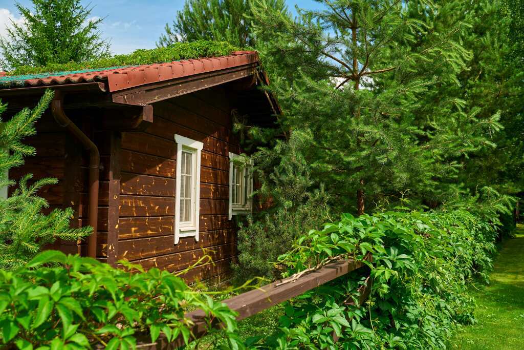 гостиницу направление Курское (юг) ш Симферопольское Подольск фото 34