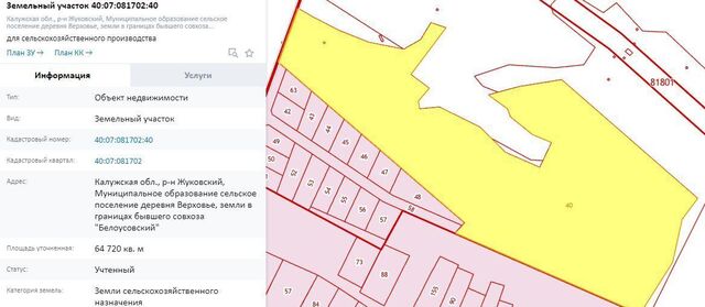 земля д Алешинка Обнинск, городское поселение Белоусово фото