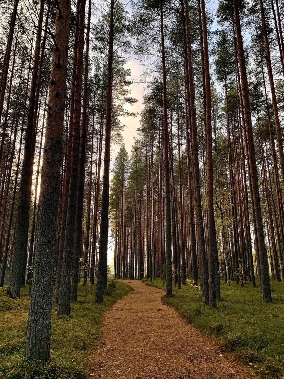 гостиницу р-н Кондопожский п Сопоха фото 2