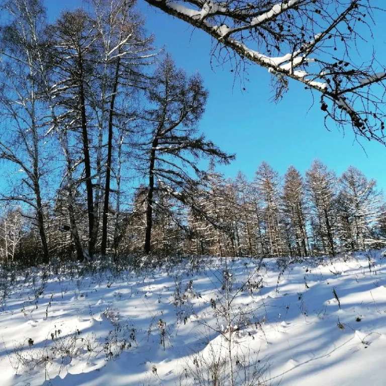 гостиницу р-н Шпаковский х Нижнерусский проезд Горный 1 Абзаковский сельсовет фото 31