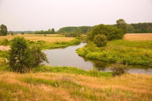 дом городской округ Пушкинский д Василёво Russia, 601710 Dubrovka, Tsentralnaya Ulitsa 1 фото 30