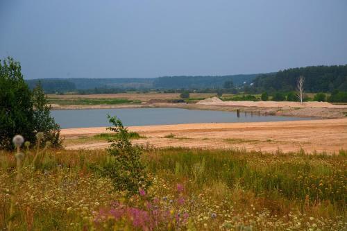 дом городской округ Пушкинский д Василёво Russia, 601710 Dubrovka, Tsentralnaya Ulitsa 1 фото 33