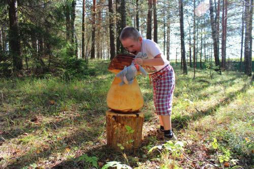 дом городской округ Пушкинский д Василёво Russia, 601710 Dubrovka, Tsentralnaya Ulitsa 1 фото 37