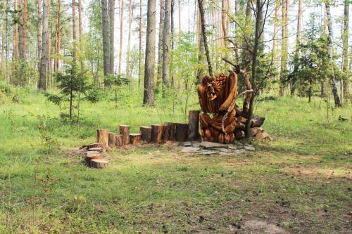 дом городской округ Пушкинский д Василёво Russia, 601710 Dubrovka, Tsentralnaya Ulitsa 1 фото 40