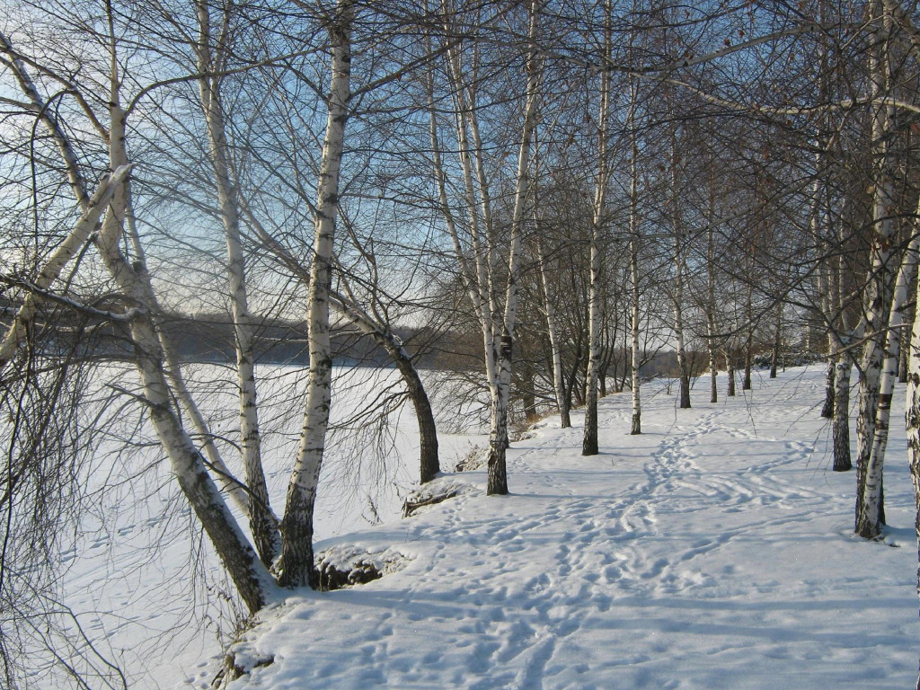 дом городской округ Мытищи д Чиверево фото 46