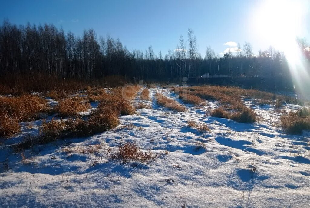 земля р-н Тюменский ДНТ Янтарное, Лунный проезд фото 1