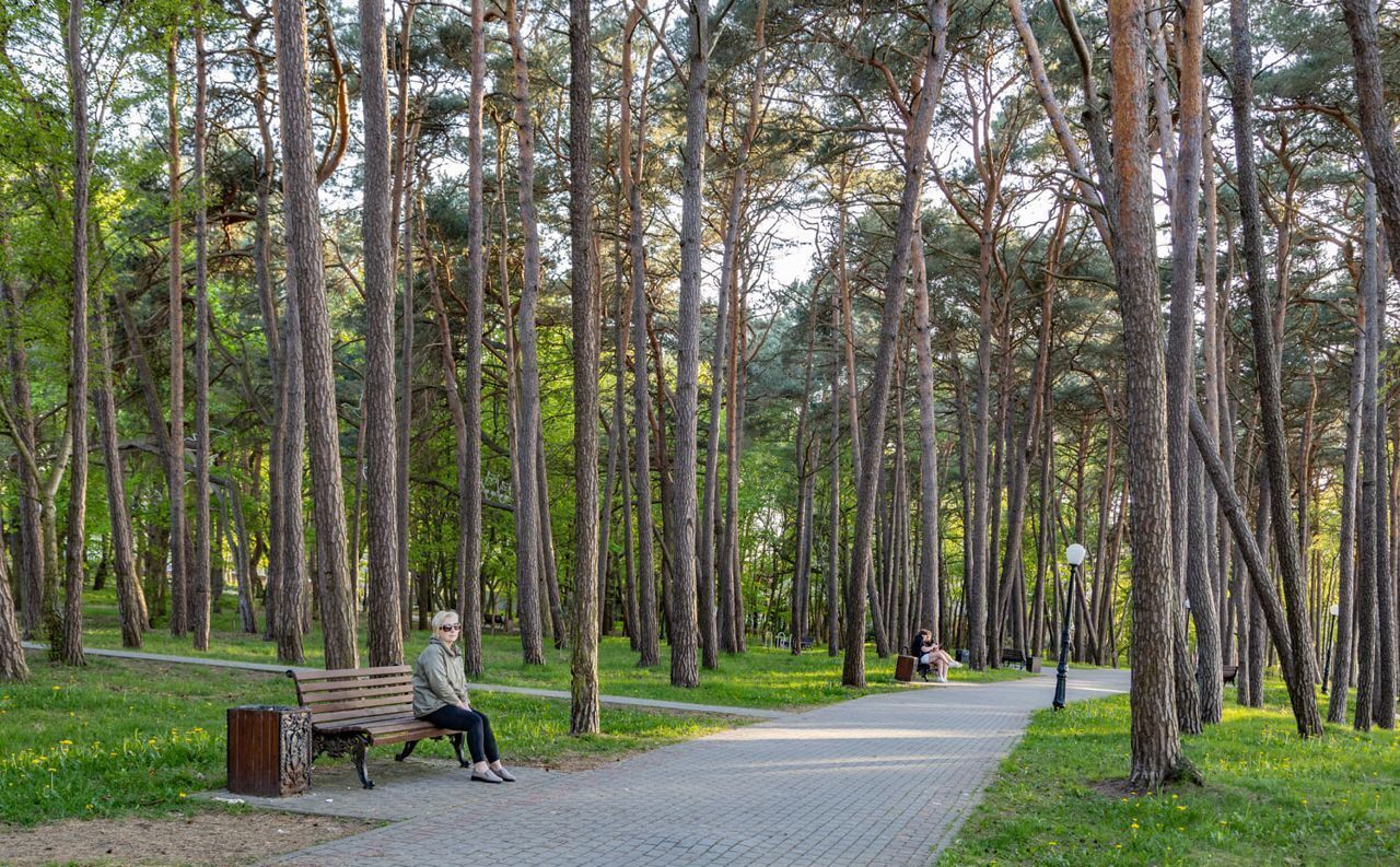 квартира г Пионерский ул Гептнера 21 ЖК «Пионерские огни» фото 21