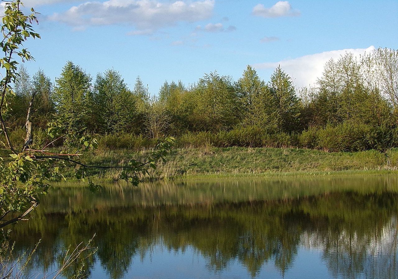 земля городской округ Чехов д Крюково 9778 км, Чехов, Симферопольское шоссе фото 5