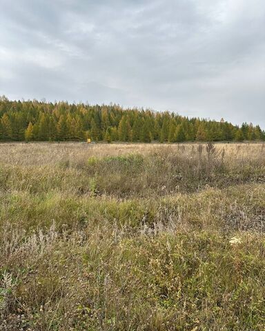 ул Мусы Гареева Субханкуловский сельсовет, Субханкулово фото