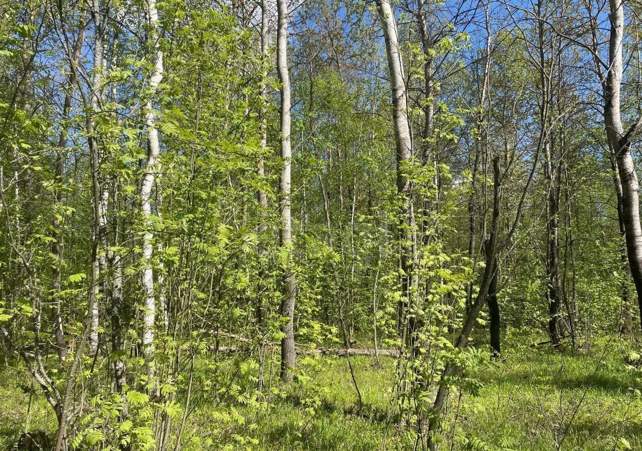 земля городской округ Раменский п Электроизолятор 52 км, 186, загородный комплекс Зелёный квартал, Егорьевское шоссе фото 1