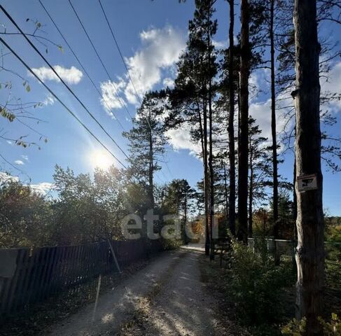 земля тер Сосновый Бор фото