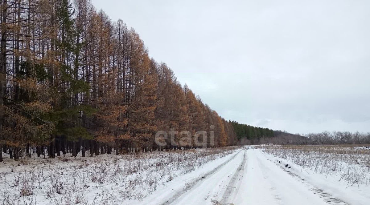 земля р-н Стерлитамакский с Кармаскалы ул Салавата Юлаева сельсовет, Казадаевский фото 8