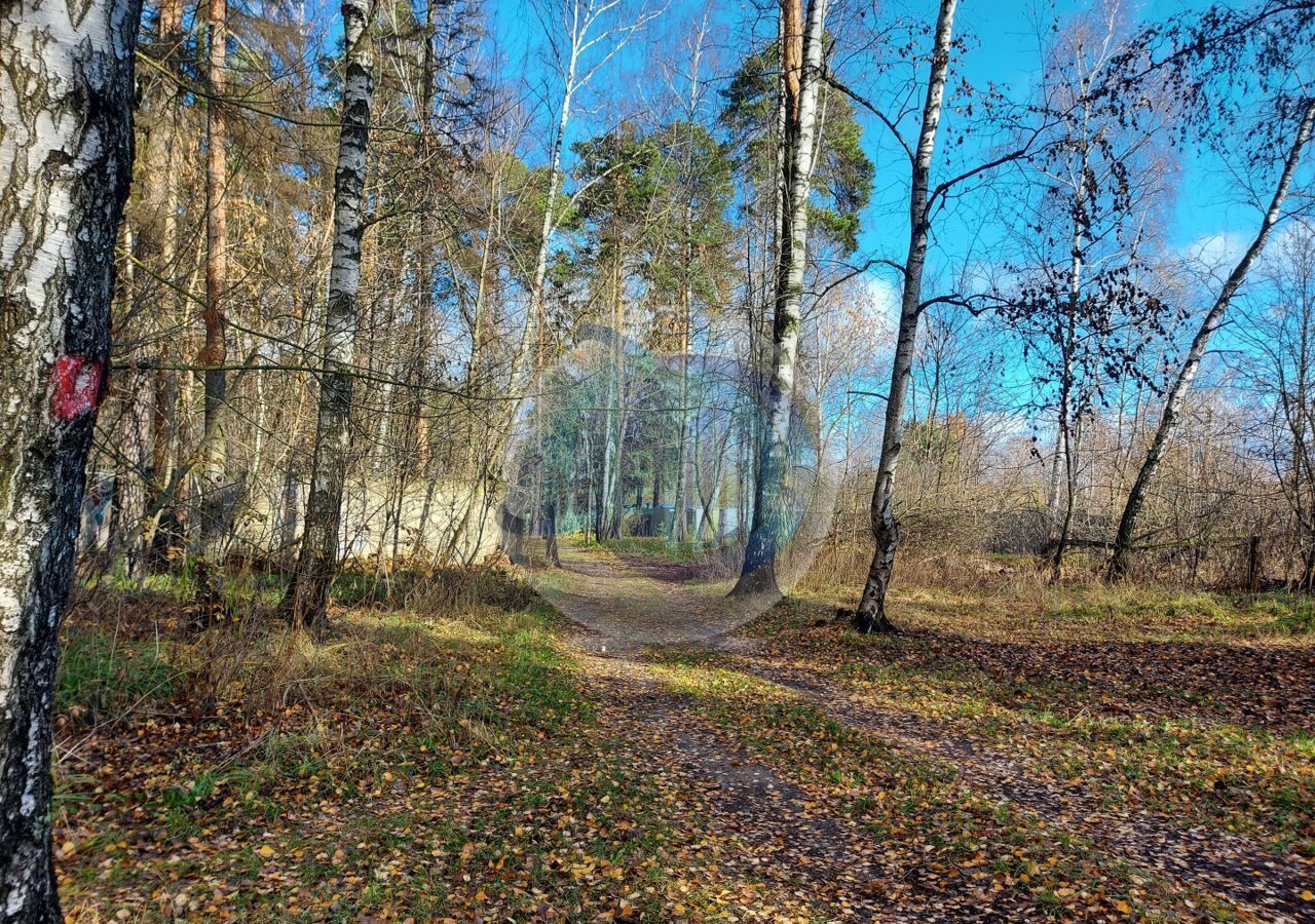 земля городской округ Пушкинский п Лесные Поляны 12 км, Ярославское шоссе фото 19