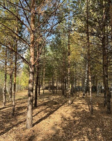 с Старая Бинарадка сельское поселение Старая Бинарадка, 16-я ул, Самара фото