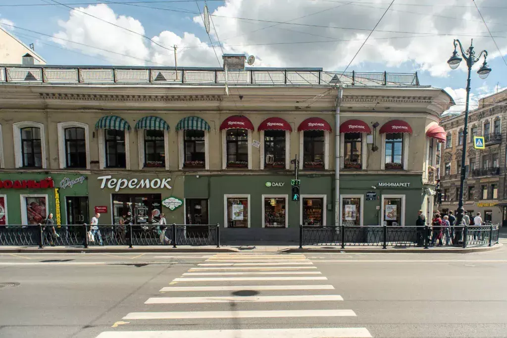 квартира г Санкт-Петербург метро Владимирская ул Ломоносова 26 Ленинградская область фото 19