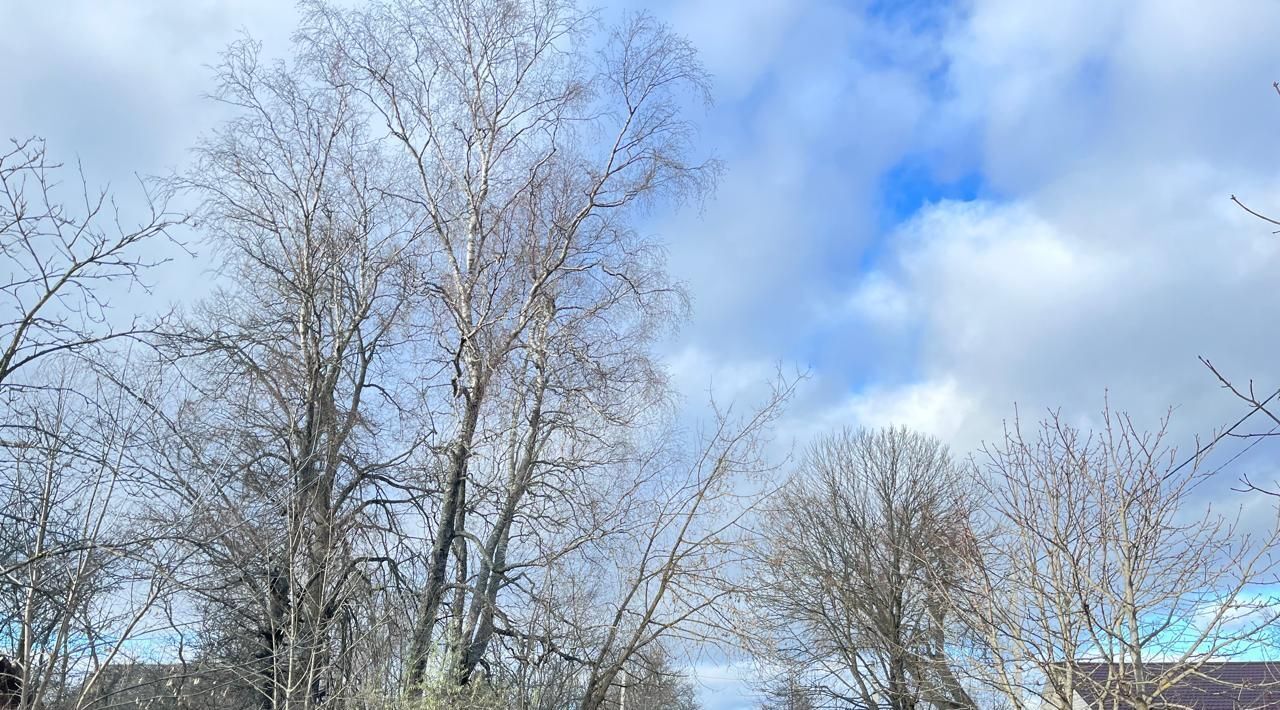 земля городской округ Шаховская Дор, Южная улица, Рогачево фото 5