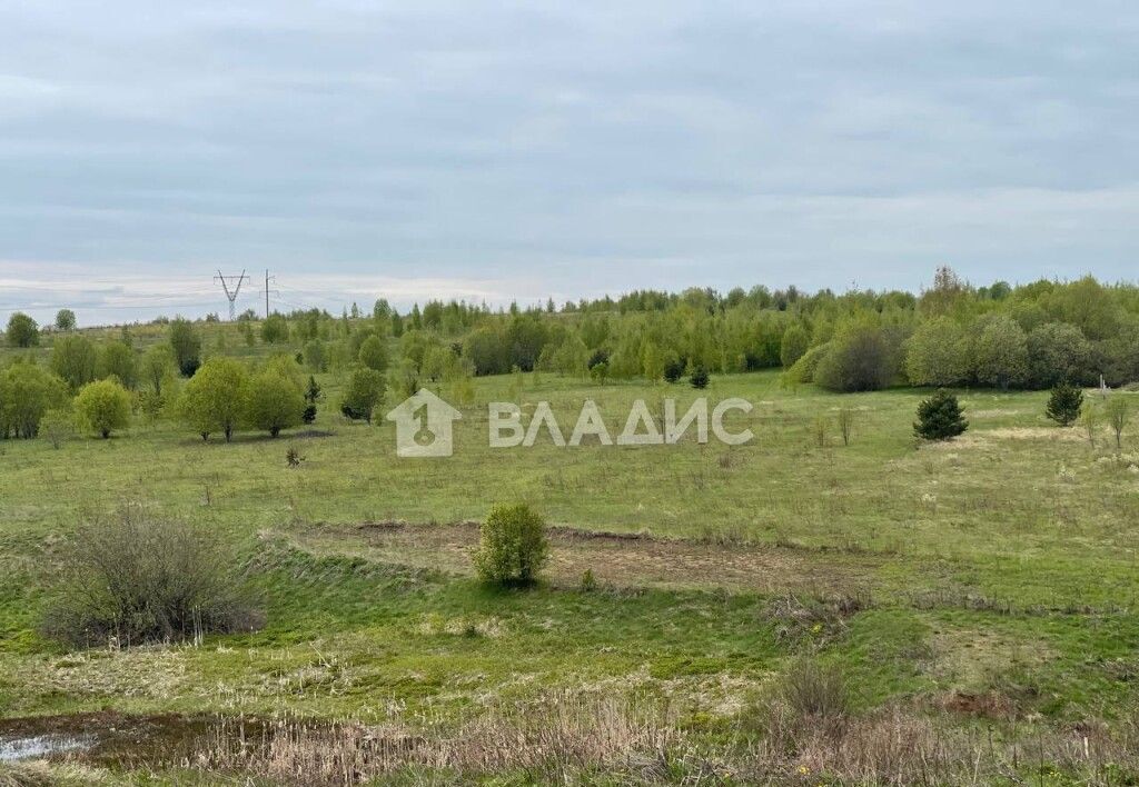 земля г Владимир с Мосино р-н Ленинский фото 3