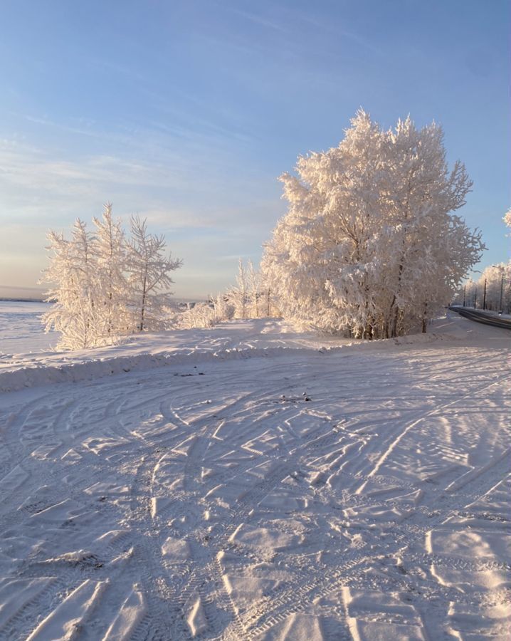 гараж г Архангельск р-н округ Майская Горка ул Дачная 59с/3 фото 1